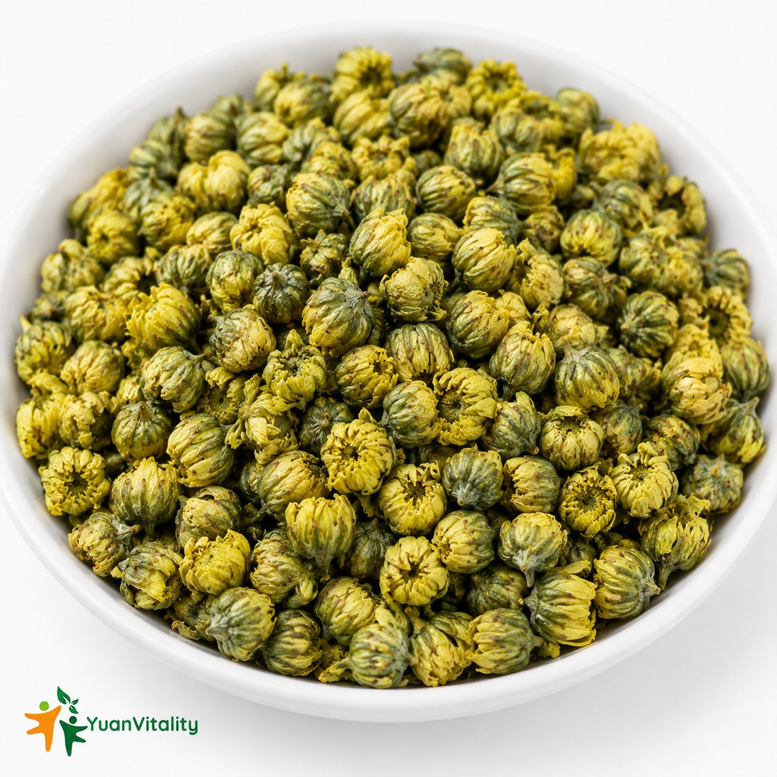Chrysanthemum
